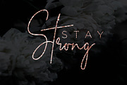 Bath Oliver Font | 80% OFF, a Script Font by Chocotype Std (Thumbnail 4 of 18)