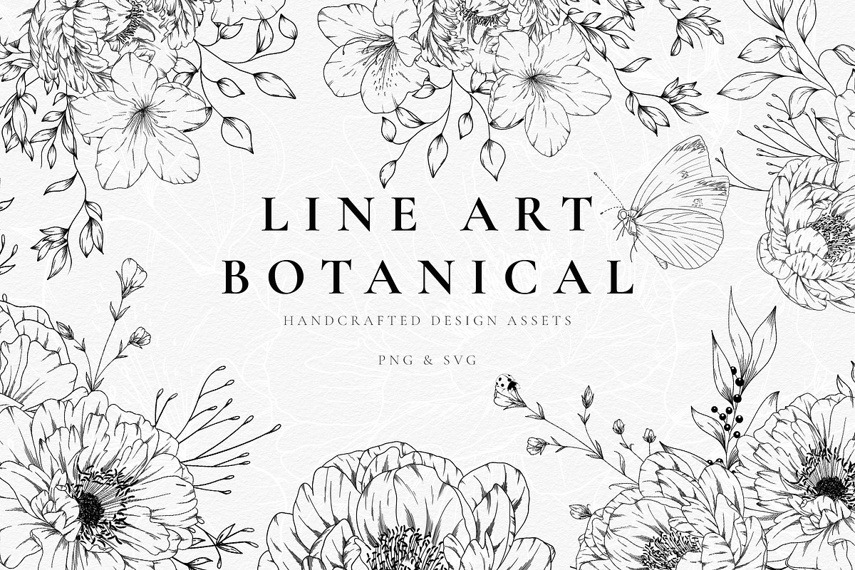 Botanical Line Art SVG & PNG Bundle, a Decorative Illustration by AW Studios (Photo 1 of 7)