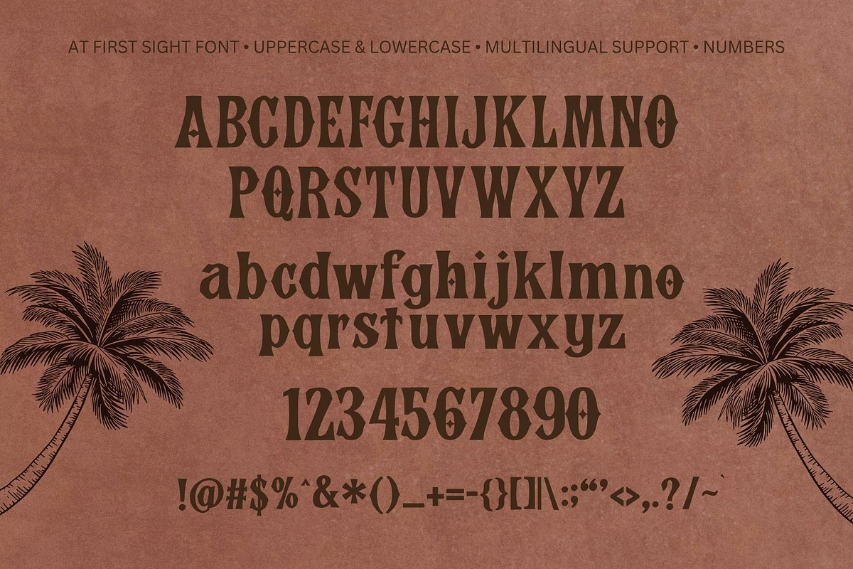 Vandora, a Serif Font by addictype (Photo 10 of 10)