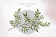 Garden flowers watercolor clipart, an Illustration by Alena Sid (Thumbnail 3 of 13)