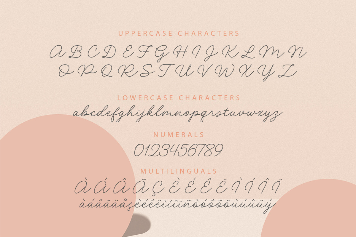 Heavenlight // Monoline-Signature, a Handwritten Font by Fargun Studio (Photo 6 of 15)