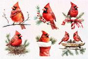 Red Cardinals Christmas Sublimation, an Illustration by Dream Creation (Thumbnail 7 of 7)