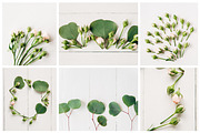 Creative floral flat lays bundle, a Print Template by Kolomiyets Viktoriya (Thumbnail 3 of 5)