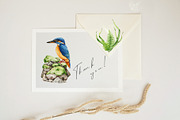 Birds Watercolor Painted Set, an Animal Illustration by AnitaPol (Thumbnail 18 of 18)