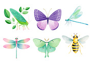 Insects Watercolor Clipart Png, an Illustration by Dream Creation (Thumbnail 6 of 7)