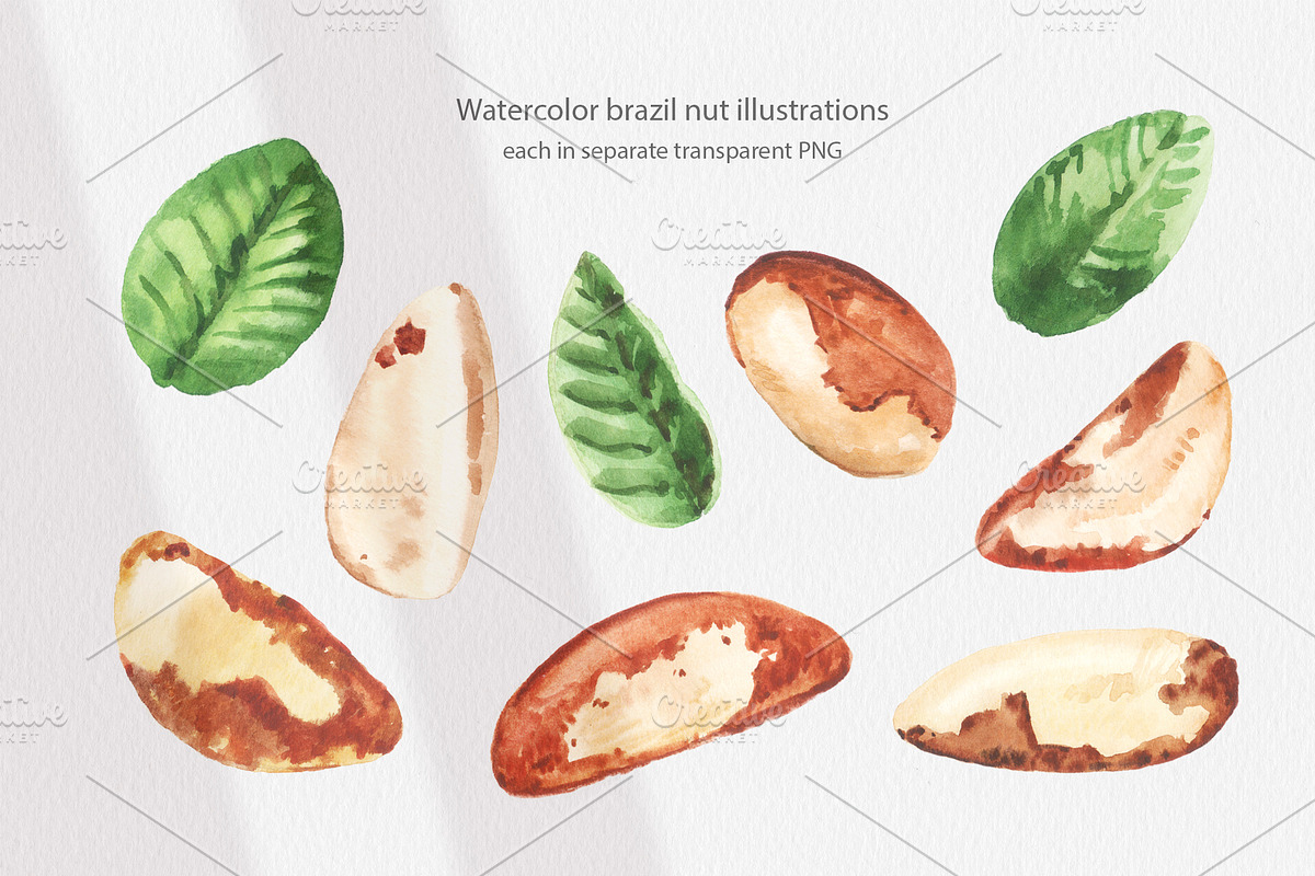 Cosmetic Ingredients Watercolor set, a Healthcare Illustration by Volha Studio (Photo 11 of 19)