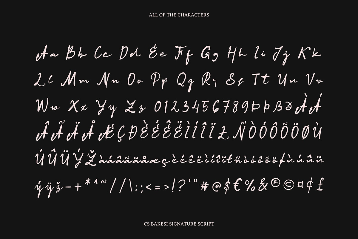 CS Bakesi - Signature Script Font, a Script Font by Craft Supply Co. (Photo 8 of 8)
