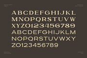 GARLEUX Duo Display Font, a Serif Font by sentype (Thumbnail 4 of 8)