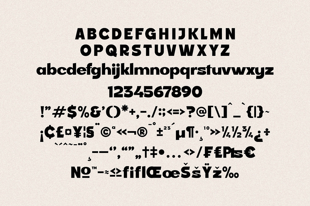 Rosela Display Sans serif Font, a Sans Serif Font by Storytype Studio (Photo 13 of 15)