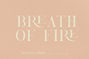 Brovile. A Classy Serif, a Serif Font by HanzelSpace Studio (Thumbnail 2 of 12)