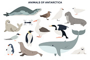 187 Animals Of The World, an Animal Illustration by Andrew Kras Design (Thumbnail 8 of 15)
