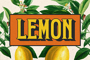 The Scriledge Layered Display Font, a Serif Font by Letterhend Studio (Thumbnail 6 of 8)