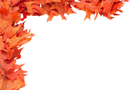 Colorful fall or autumn leaves preview 6