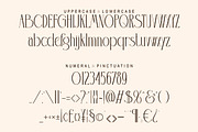 Melati, a Serif Font by Kenrichi (Thumbnail 2 of 10)