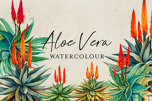 Watercolor Aloe Vera