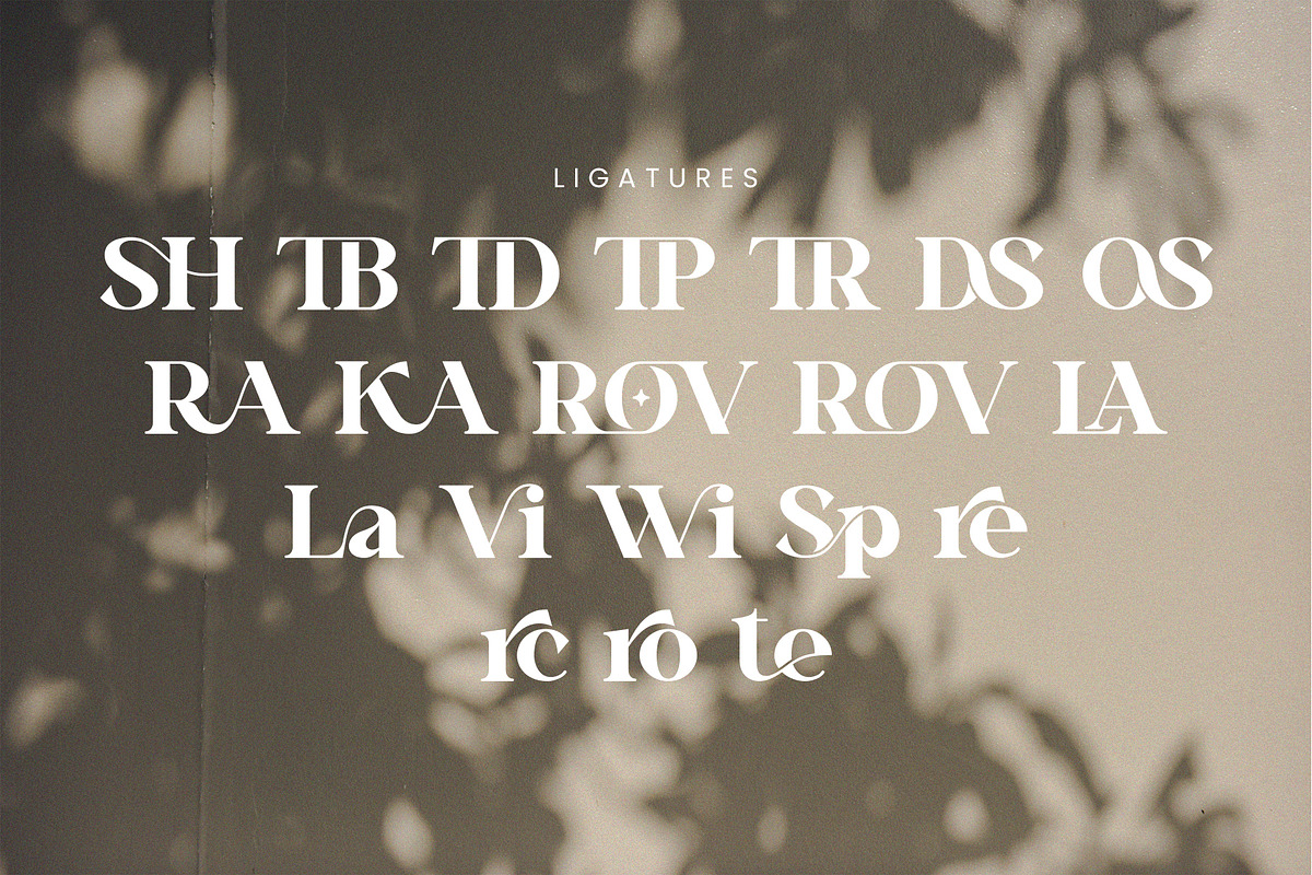 Vinaly Serif Font, a Serif Font by Idea Studio (Photo 11 of 11)