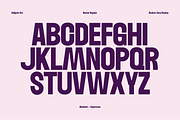 Nectar Modern Sans, a Sans Serif Font by GRVS Studio (Thumbnail 3 of 7)