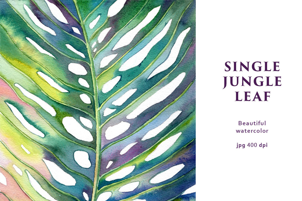 Single Jungle Leaf, a Decorative Illustration by Anastasia (Photo 1 of 3)