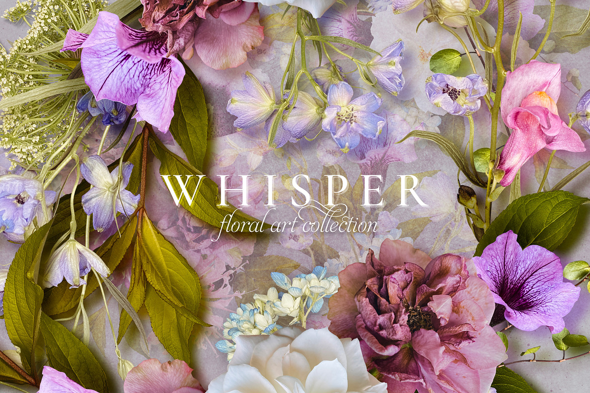 Whisper Floral Art Collection, an Object Graphic by Eclectic Anthology (Photo 1 of 14)