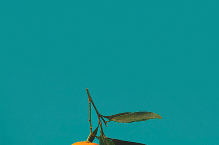 Tangerines on a turquoise background, a Food & Drink Photo by Valeriia • Svitlini