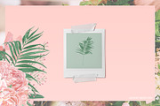 Tropical Romance modern floral rose, an Illustration by January Bloom (Thumbnail 17 of 29)