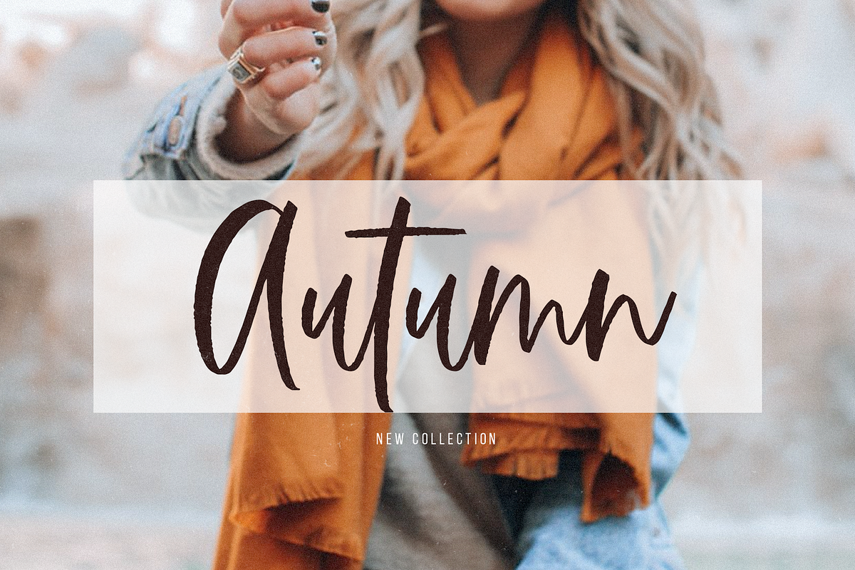 Silverway | Handwritten Brush Font preview 4