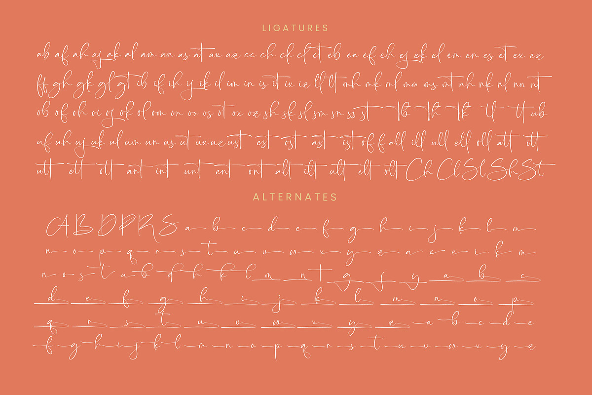 Starhontis Clentiona Stylish Font, a Script Font by stylishtype.co (Photo 19 of 20)