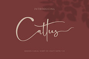 Cattus - Modern Casual Script Font, a Script Font by Craft Supply Co. (Thumbnail 11 of 11)