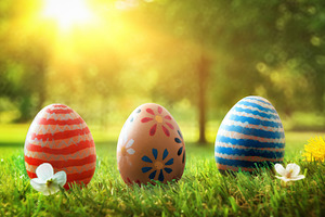 Colorful Easter Eggs on Spring Grass, a Holiday Photo by Davizro's Market