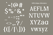 Vogera Minimal Editorial Serif, a Serif Font by Lettertype Studio (Thumbnail 10 of 15)