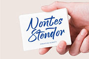 Stagets Thiender Bold Handwritten, a Script Font by stylishtype.co (Thumbnail 8 of 20)