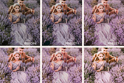 5 LILAC LIGHTROOM PRESETS, an Action Add-On by Emma Kate Creative (Thumbnail 10 of 10)