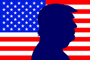 Donald Trump silhouette portrait, a Person Illustration by frizio