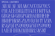 Largely Elegant Font, a Serif Font by 177Studio (Thumbnail 5 of 6)