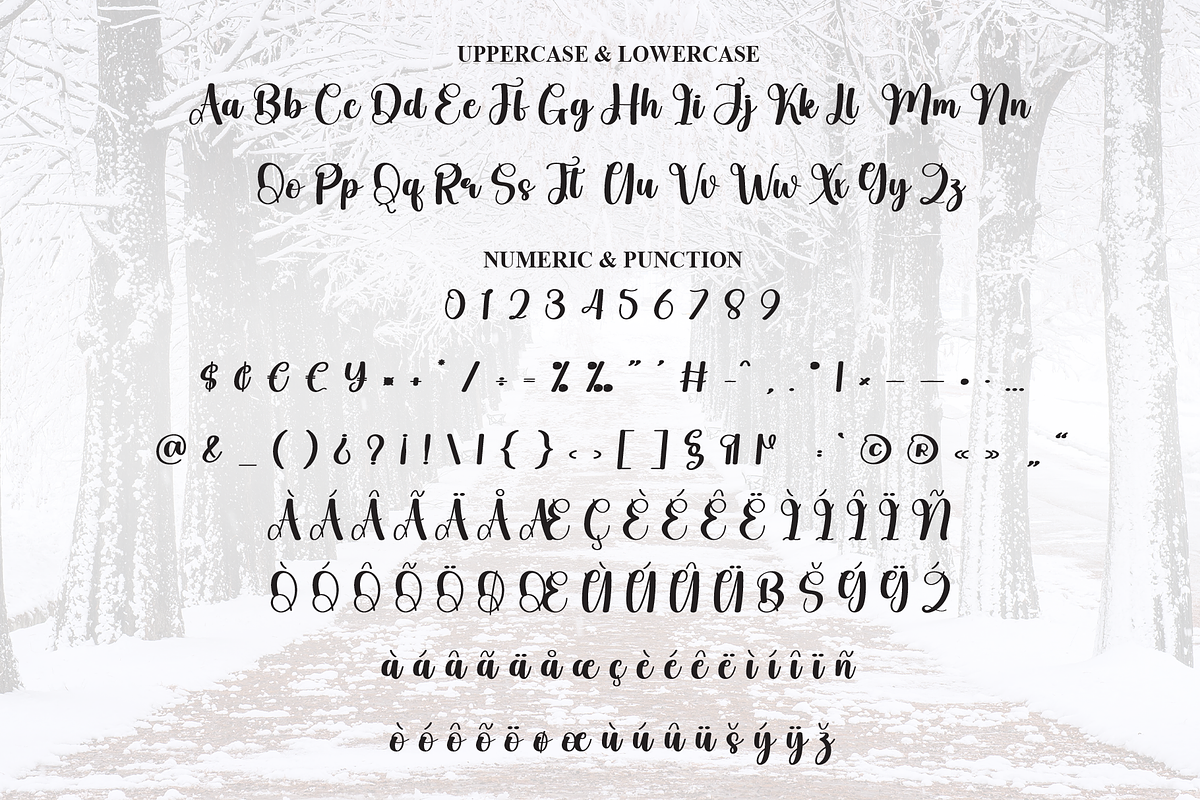 Wonderland | Script Font, a Handwritten Font by Scratchones (Photo 7 of 8)