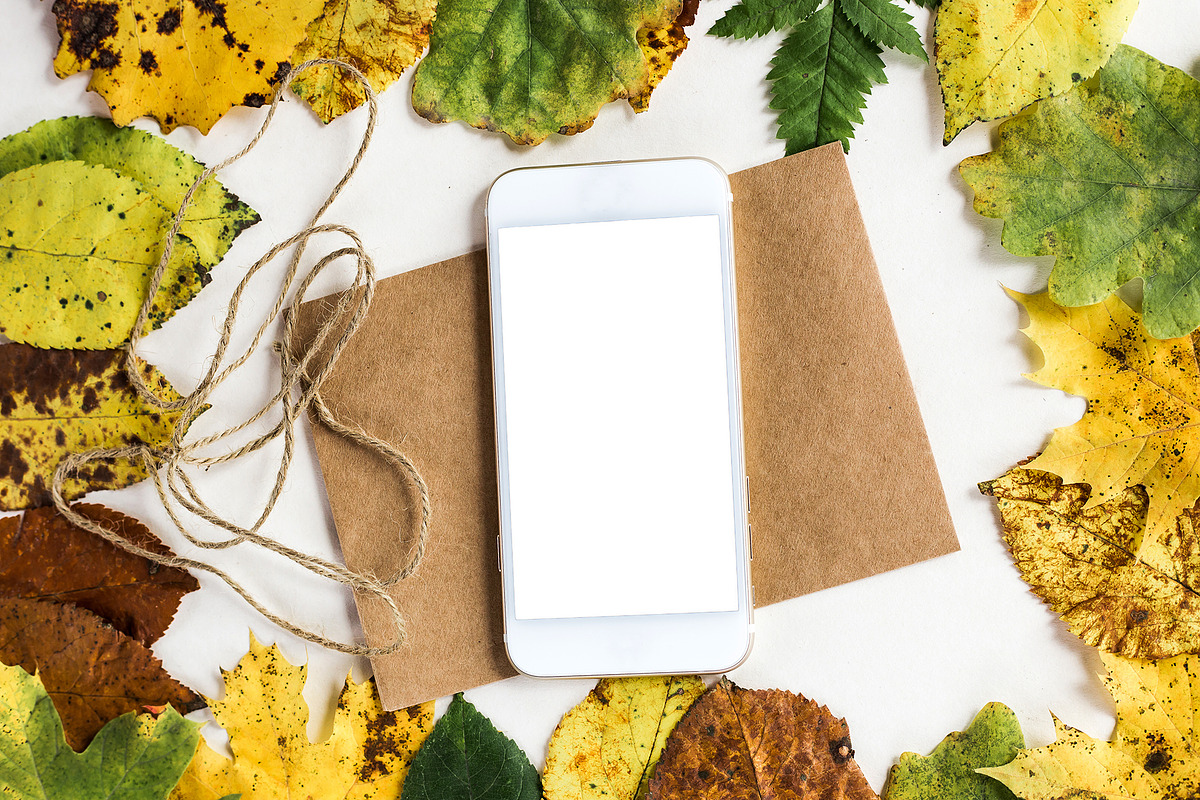 Phone Mockup on Postcard in Autumn, an iPhone Mockup by VetalStock (Photo 3 of 3)