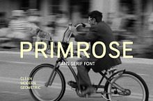 Primrose Sans Serif Font