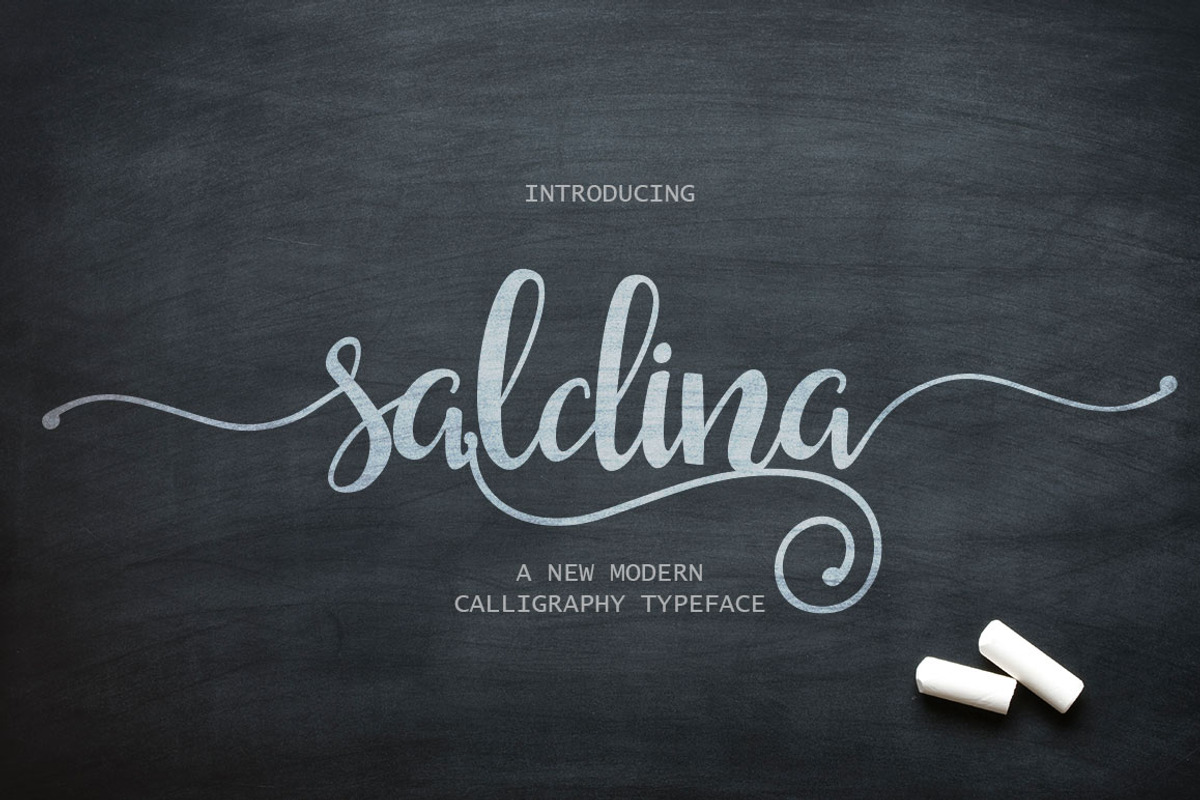 Saldina Script, a Script Font by vanroem (Photo 1 of 13)