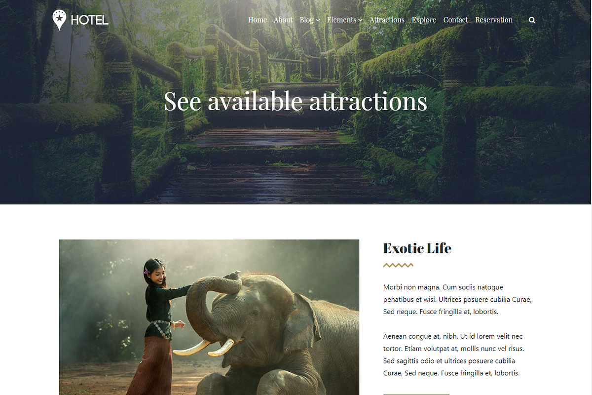 Hotel Spa & Resort WordPress Theme, a WordPress Template by Visualmodo (Photo 4 of 9)
