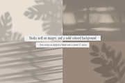 Serene Aesthetic Shadow Overlays, a Texture Graphic by Feather & Sage Design (Thumbnail 13 of 15)