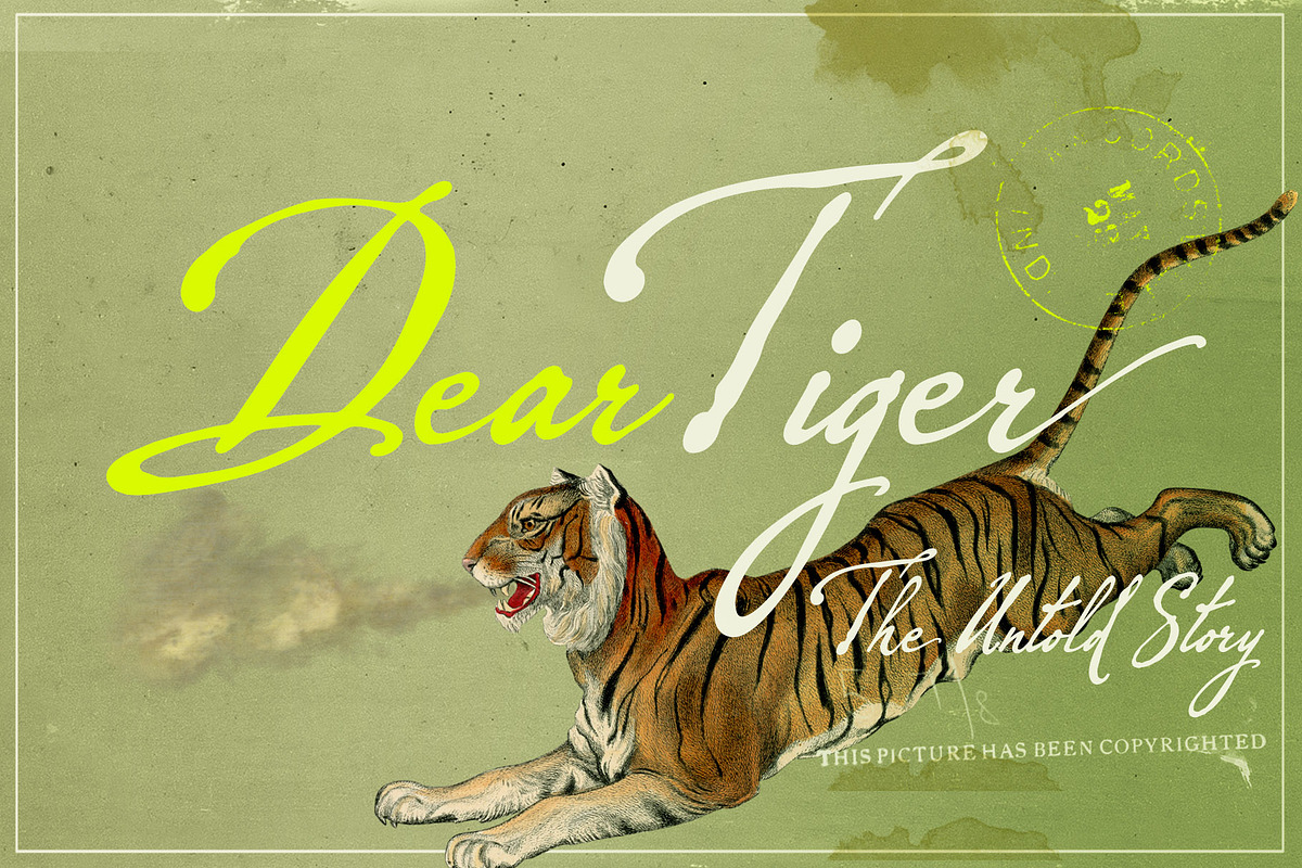 Wild Letters, a Handwritten Font by Misprinted Type (Photo 4 of 7)