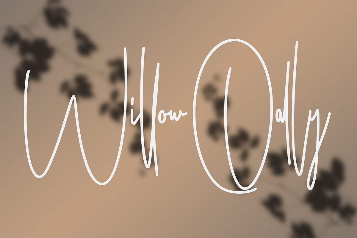 Ameriondela Luxury Classy Font, a Script Font by Maulana Creative (Photo 7 of 11)