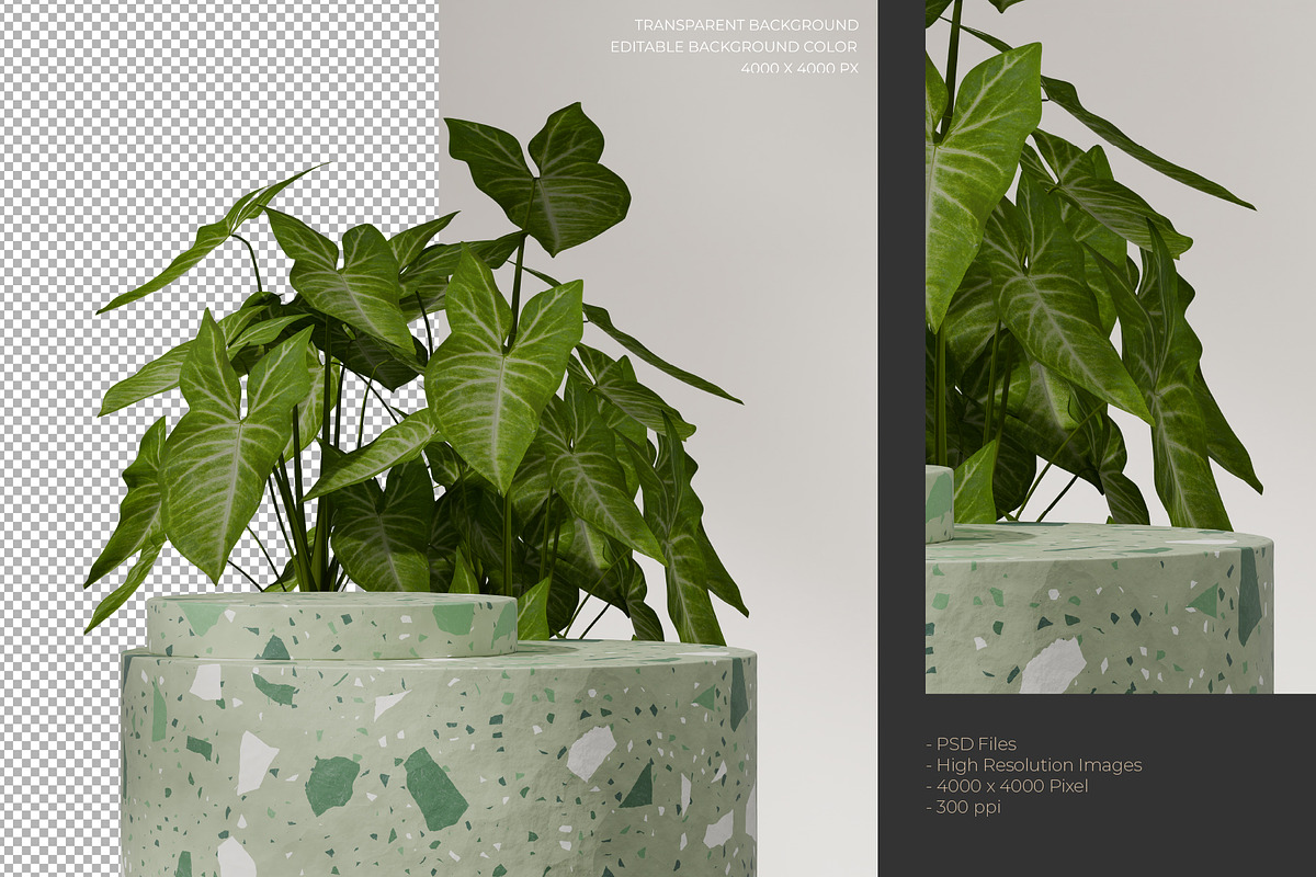 5 Podium with Transparent Background, a Background Graphic by faustudio (Photo 7 of 7)