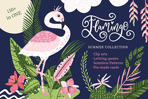 Flamingo Gardens illustration bundle
