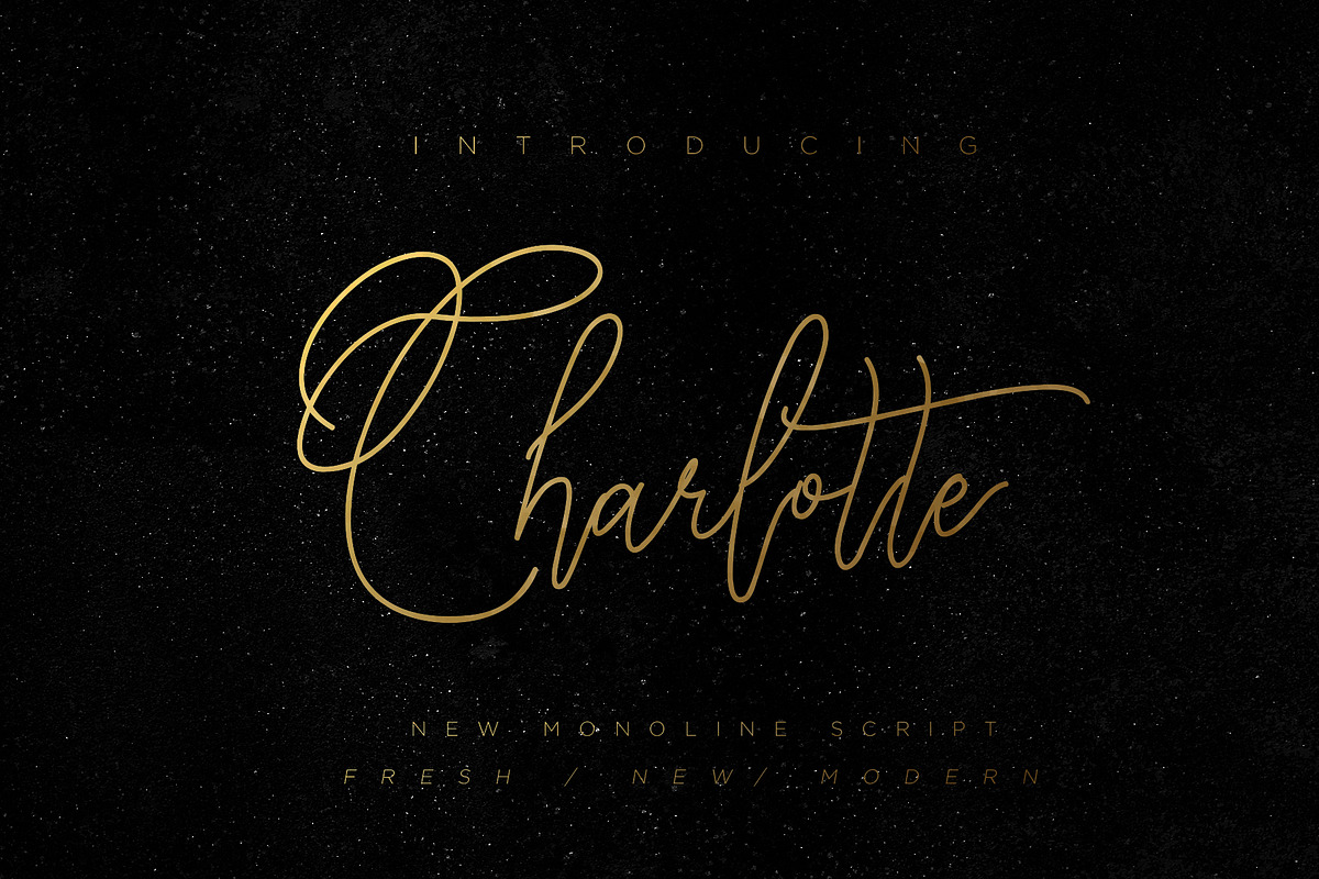 Charlotte Script, a Script Font by Chocotype Std (Photo 1 of 10)