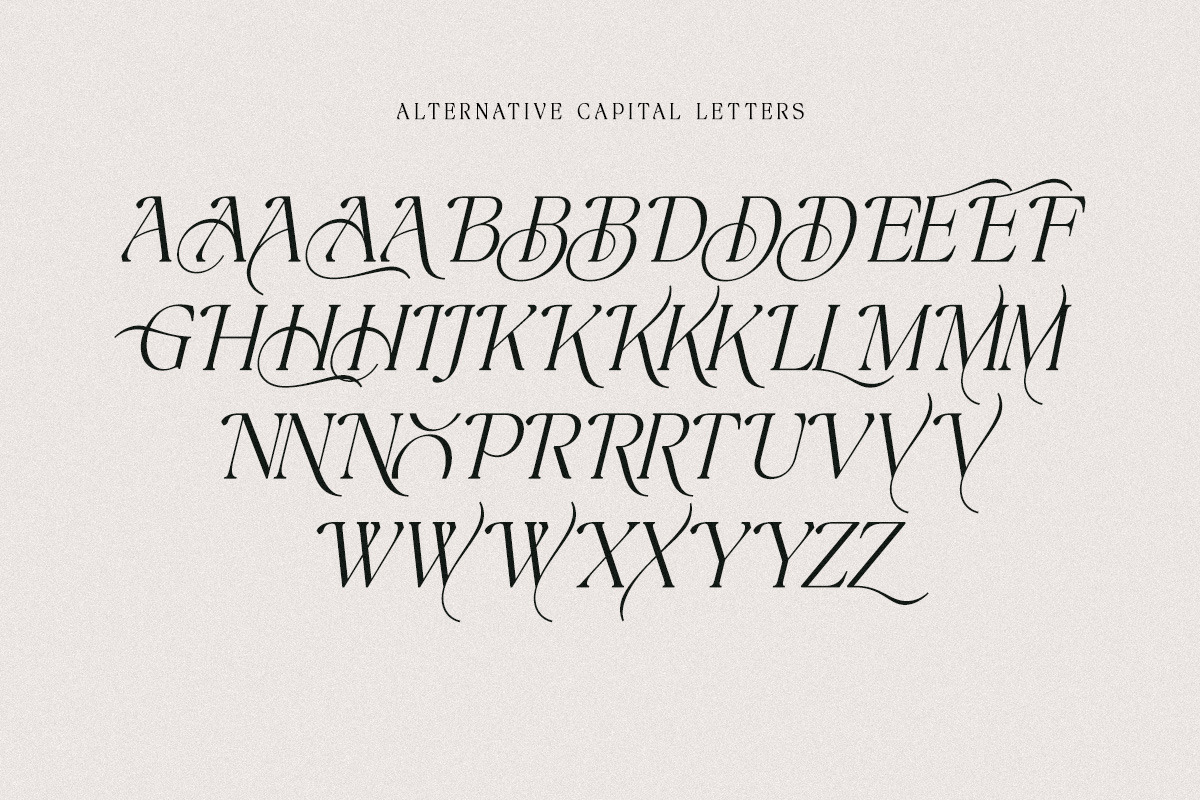 The Bilstein Editorial, a Serif Font by Pista Mova (Photo 16 of 20)