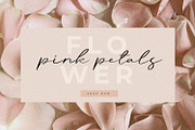 Hassey - A Modern Calligraphy Font, a Script Font by Graphicfresh (Thumbnail 4 of 7)