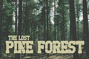 zebra cross brush font, a Blackletter Font by fluffyartstudio (Thumbnail 3 of 4)