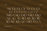 Sosro Elegant Serif Font, a Serif Font by Elegant Font (Thumbnail 8 of 8)