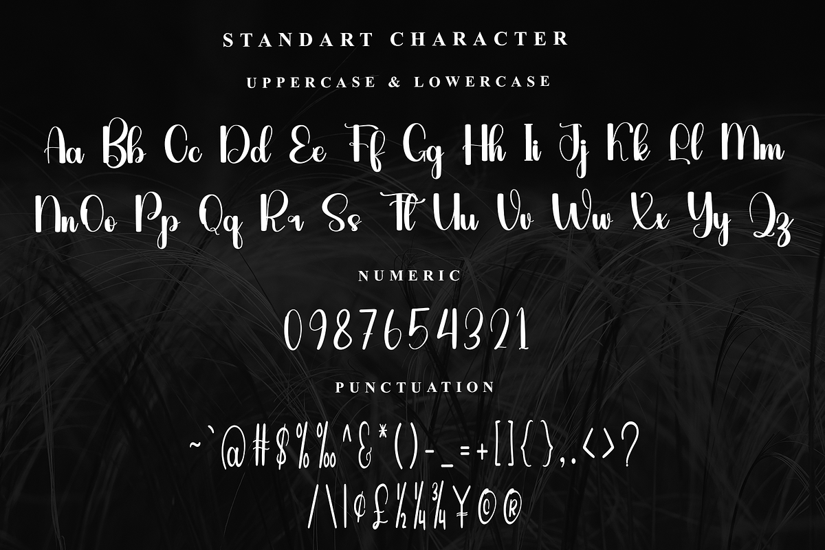 Bighome, a Handwritten Font by InermediaSTUDIO (Photo 3 of 7)